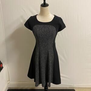 WHBM Dress Women's Career Fit and Flare Slim Swing - 0